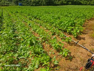 고구마18260님의 자유주제 · 자유게시판 작성글 사진