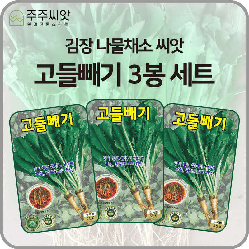 장터 상품 [고들빼기 씨앗 3봉 세트 / 나물채소 김장 고들빼기 씨앗] 썸네일