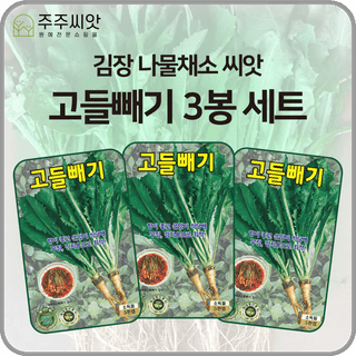 주주씨앗님의 작성글 사진