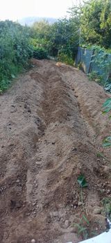 팜모닝 자유주제·자유게시판 게시글 이미지