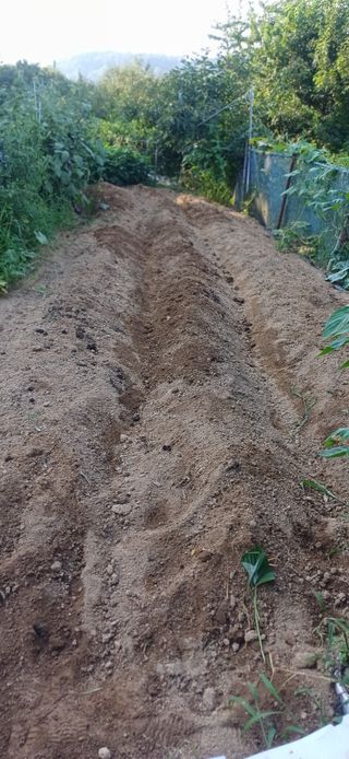 초보퍼머5도2촌준비님의 자유주제 · 자유게시판 작성글 사진