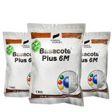 팜모닝 · 게시글 이미지