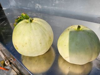 김두영님의 자유주제 · 자유게시판 작성글 사진