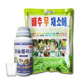 팜모닝 · 게시글 이미지