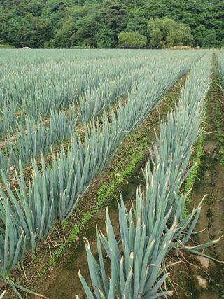 장정구님의 자유주제 · 자유게시판 작성글 사진