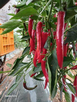 삼부자님의 자유주제 · 자유게시판 작성글 사진