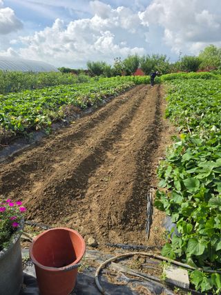 비타민님의 자유주제 · 자유게시판 작성글 사진