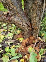 팜모닝 자유주제·자유게시판 게시글 이미지