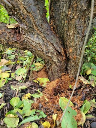 임순자님의 자유주제 · 자유게시판 작성글 사진