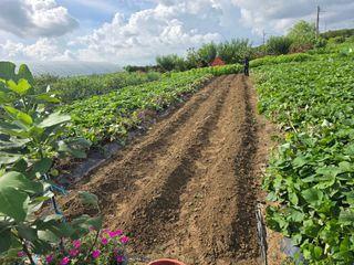 비타민님의 자유주제 · 자유게시판 작성글 사진