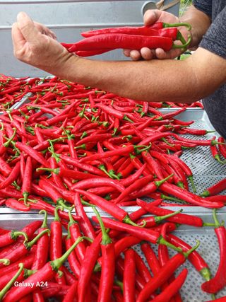삼부자님의 자유주제 · 자유게시판 작성글 사진