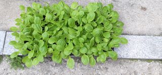 김영문님의 자유주제 · 자유게시판 작성글 사진