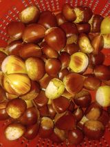 팜모닝 자유주제·자유게시판 게시글 이미지