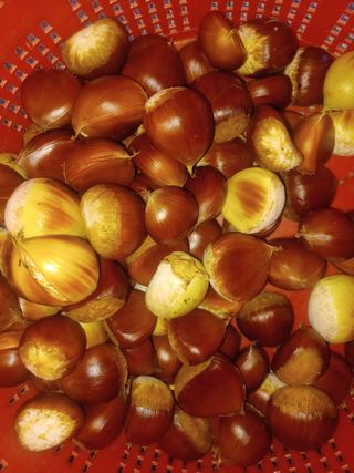 대구 바이오님의 자유주제 · 자유게시판 작성글 사진