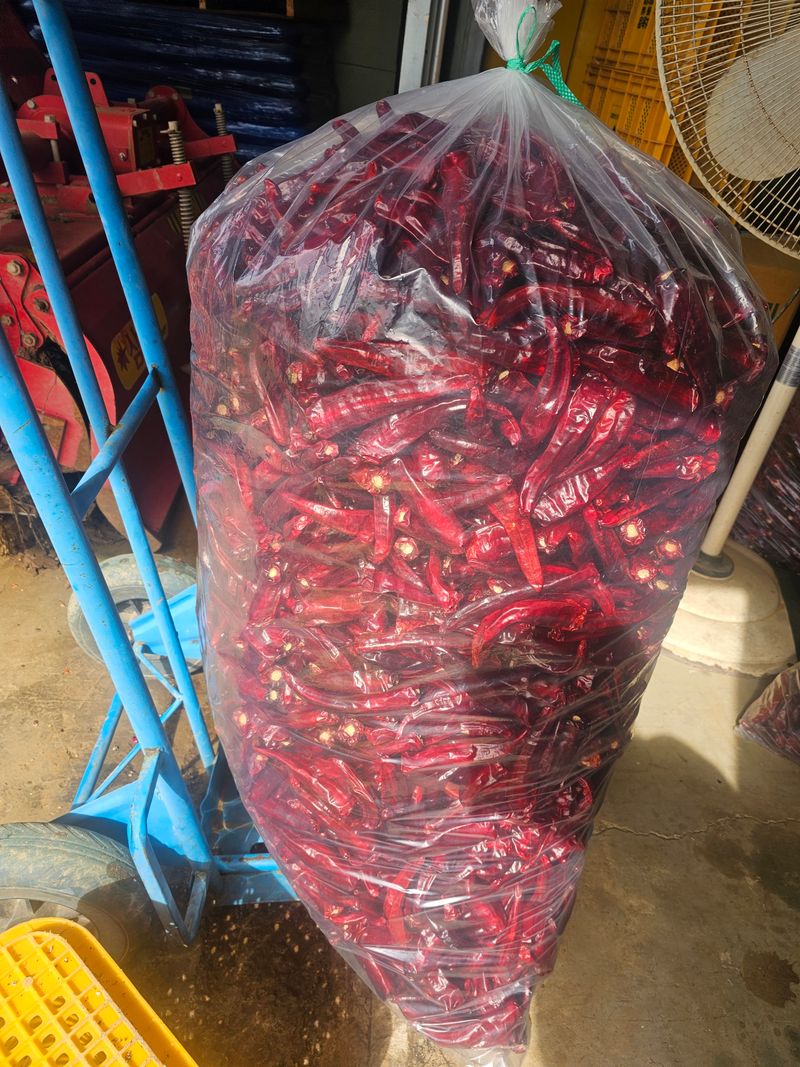 승현이네농님의 장터 판매 상품 [건고추 (1근600g)(꼭지무)] 첨부 사진