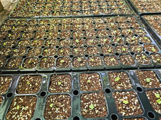 연모 자연의행복님의 자유주제 · 자유게시판 작성글 사진