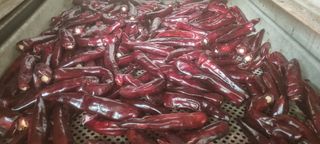 박사원농장님의 작성글 사진