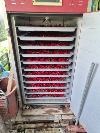 정택님의 자유주제 · 자유게시판 작성글 사진