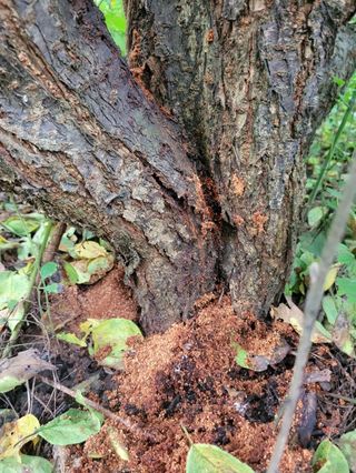 임순자님의 자유주제 · 자유게시판 작성글 사진