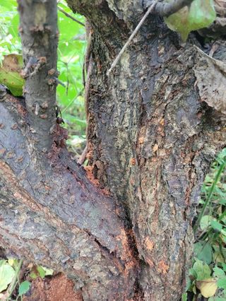 임순자님의 자유주제 · 자유게시판 작성글 사진