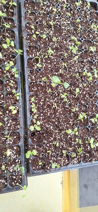 육일님의 자유주제 · 자유게시판 작성글 사진