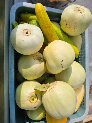 김두영님의 자유주제 · 자유게시판 작성글 사진