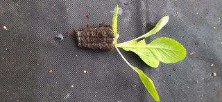 김영문님의 자유주제 · 자유게시판 작성글 사진