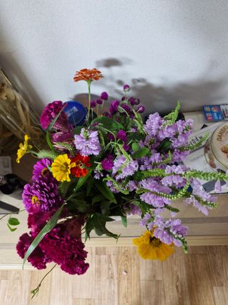 낙엽교목류21691님의 자유주제 · 자유게시판 작성글 사진