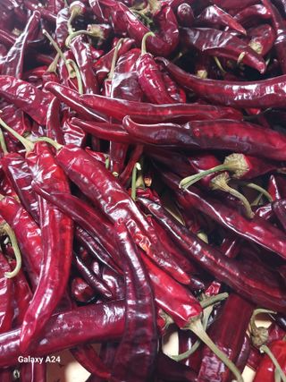 삼부자님의 자유주제 · 자유게시판 작성글 사진