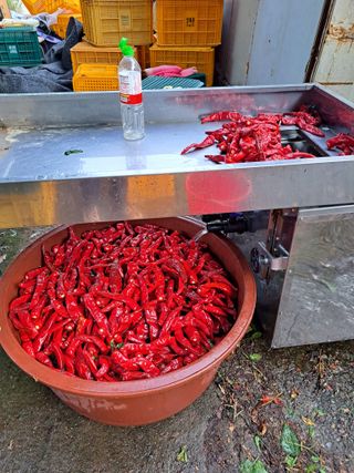 박수정님의 작성글 사진