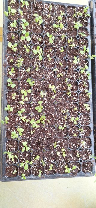 육일님의 자유주제 · 자유게시판 작성글 사진