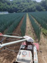 팜모닝 자유주제·자유게시판 게시글 이미지