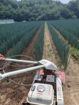 장정구님의 자유주제 · 자유게시판 작성글 사진