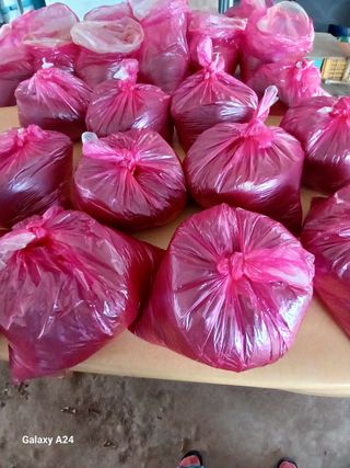 삼부자님의 자유주제 · 자유게시판 작성글 사진