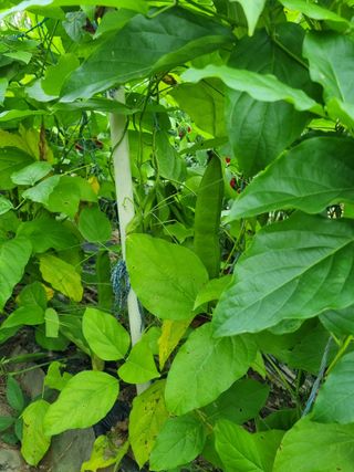 김경일 님의 자유주제 · 자유게시판 작성글 사진