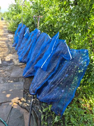 정택님의 자유주제 · 자유게시판 작성글 사진