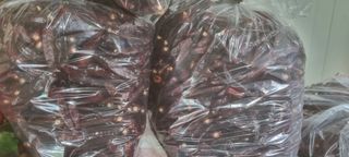 박사원농장님의 작성글 사진