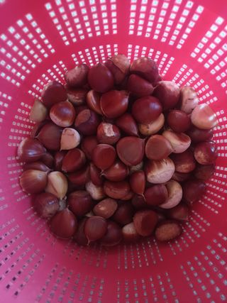 대구 바이오님의 자유주제 · 자유게시판 작성글 사진