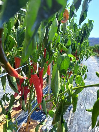 박수정님의 작성글 사진