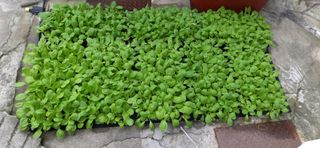 김영문님의 자유주제 · 자유게시판 작성글 사진