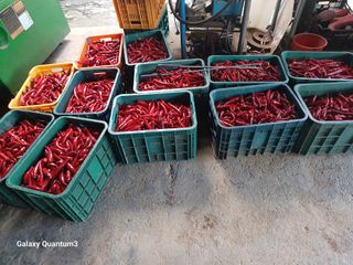 이창우님의 자유주제 · 자유게시판 작성글 사진