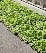 팜모닝 자유주제·자유게시판 게시글 이미지