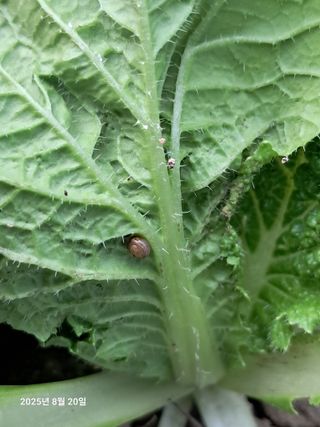 선이랑순이랑님의 자유주제 · 자유게시판 작성글 사진