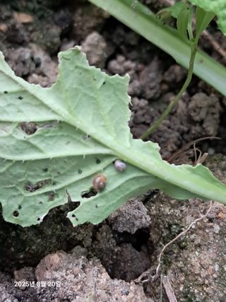 선이랑순이랑님의 자유주제 · 자유게시판 작성글 사진