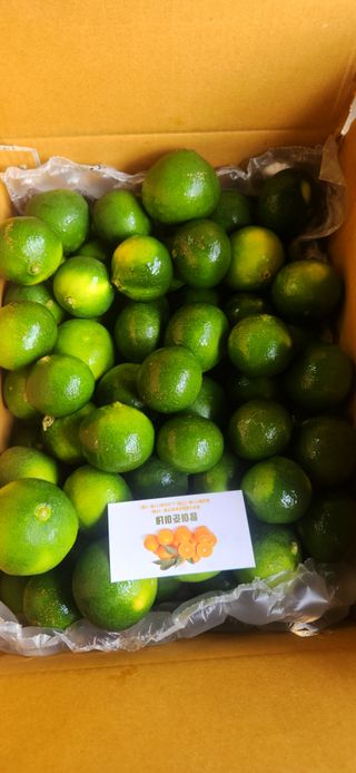 김경희님의 작성글 사진