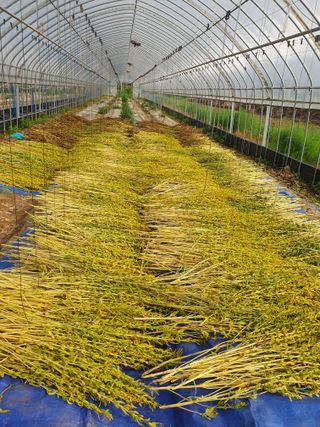 김옥자님의 자유주제 · 자유게시판 작성글 사진