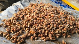 황규복(달구지)님의 자유주제 · 자유게시판 작성글 사진