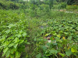 farmer님의 자유주제 · 자유게시판 작성글 사진