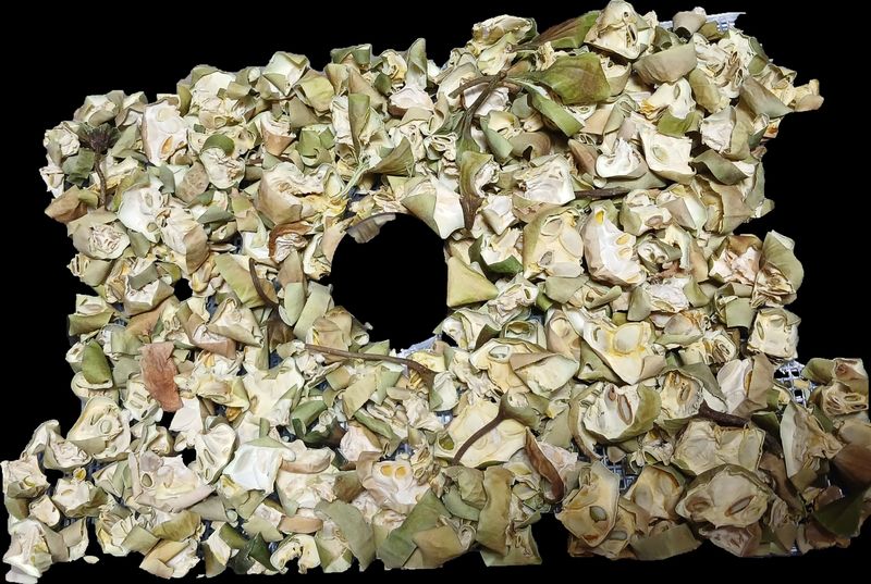 산성골농장님의 장터 판매 상품 [건하늘수박(하늘타리)] 첨부 사진