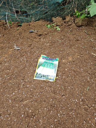 김경일 님의 자유주제 · 자유게시판 작성글 사진